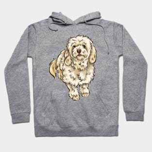 Cream Cavapoo Dog Hoodie